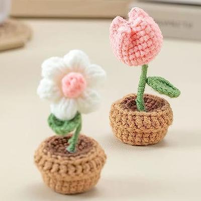 LA QUEENIE Crochet Kit for Beginners,6 Pcs Potted Flowers Crochet