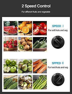 Juicer Machine, 500W Juicer with 3” Wide Mouth for Whole Fruits and Veg,  Centrifugal Juice Extractor with 3-Speed Setting, Easy to Clean, Stainless