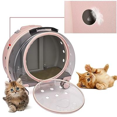 Buy Top Load Pet Carrier for Large, Medium Cats, 2 Cats and Small Dogs with  Comfy Bed. Easy to Get Cat in, Escape Proof, Easy Storage, Washable, Safe  and Comfortable for Vet