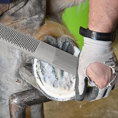 Farriers Rasp, Horse Shoeing Tools