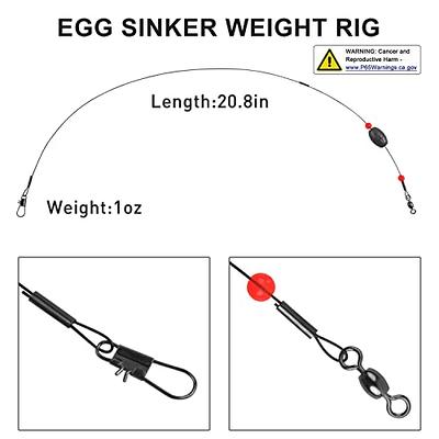 Fishing Egg Sinker Weight Rigs, Stainless Steel Fishing Wire Leaders with Sinkers  Fish Swivels and Snaps