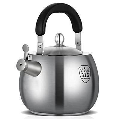 Toptier Tea Kettle for Stove Top, Cast Iron Teapot Stovetop Safe with Infusers for Loose Tea, 22 oz, Light Green