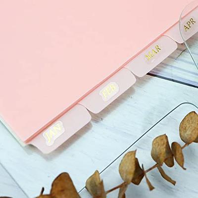 HABGP Binder Dividers with Tabs, 8 Tab Sheet Protectors for 3 Ring