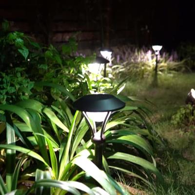 Landscape Bulbs Outdoor Bulb Lights