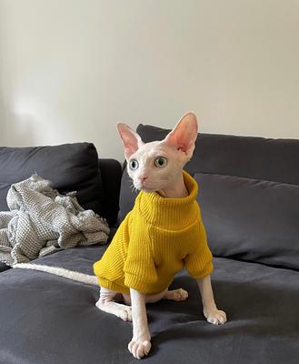  Sphynx Cat Clothes Winter Warm Faux Fur Sweater