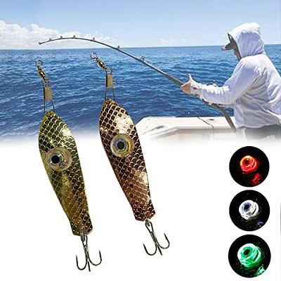JoyFishing LED Fishing Lures Kit,2/4 Pcs Deep Drop Fishing Lights