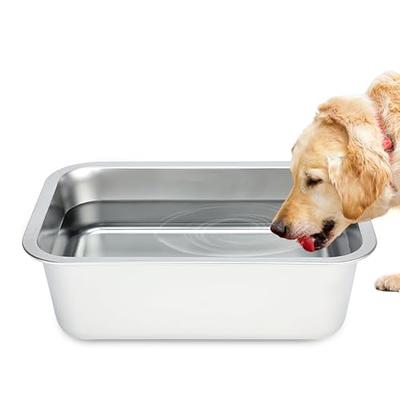 Big Bowl - Extra Large Water Bowl for Dogs (1.25 Gallon Capacity