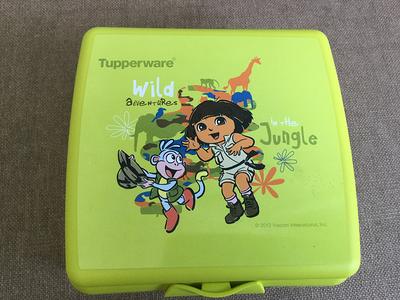 Vintage New Dora The Explorer Tupperware Hinged Sandwich Container 37520/ Tupperware Children - Yahoo Shopping