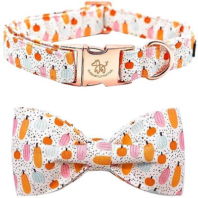 Red Blue Pumpkin Pattern Dog Collar With Bowtie, Adjustable Girl