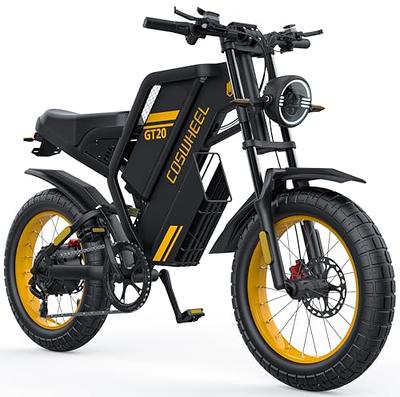 Ronson Electric Bike Adults, 1000W Ebike, 48V/20Ah Removable Battery  Electric Bicycle, 12-Speed Electric Dirt Bike for Adults, 20*4.0 Fat Tire