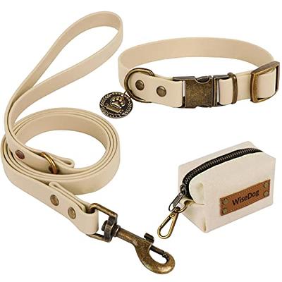 Cute Dog Collar for Small Medium Dogs Puppy - PUPTECK