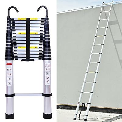 Lusheer Ladder Stabilizer Accessory for Roof Gutter, Wing Span/Wall Ladder  Standoff, Heavy Duty, Easy Use, 375 lbs Weight Rating… 