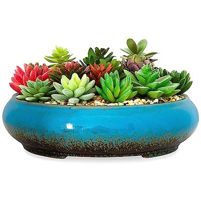 Succulent Pots, 4 Pack Ceramic Planters for Indoor Plants, 3.5 Inch Bo –  Ecoloversstore