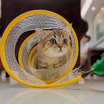 Best Interactive Toys for Cats  Cat Puzzles, Spring Toys & Tunnels