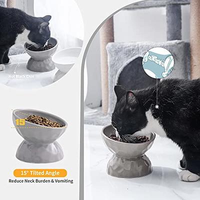 Cat Food Water Bowl Set - Raised Ceramic Cat Feeding Bowls with