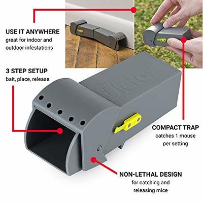 Humane Mouse Trap Set Of 2 Catch And Release Mouse Traps That Work Best  Indoor/outdoor Mousetrap Catcher Non Killer Small Mole Capture Cage