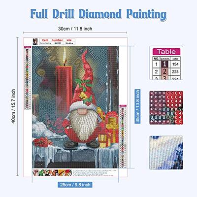 NAIMOER Christmas Diamond Painting Kits for Adults- Diamond