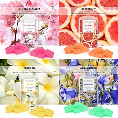 Wax Melts Wax Cubes, Scented Wax Melts, Scented Wax Cubes, Soy Wax Cubes  for Warmers, Wax Melts Gift Set Soy Wax Cubes Candle Melts, Wax Bar Melts  2.5