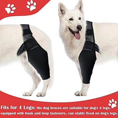 Dog Leg Brace For Acl Pet Knee Pads With Rear Support Short