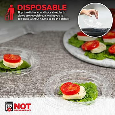 100 Clear Plastic Plates - 6.25 Inch Disposable Plates