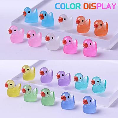 120 PCS Luminous Mini Resin Ducks Tiny Ducks Miniature Slime Charms Duck  Figures Ornament Decorations for Fairy Garden Landscape Dollhouse Aquarium  Home - Yahoo Shopping