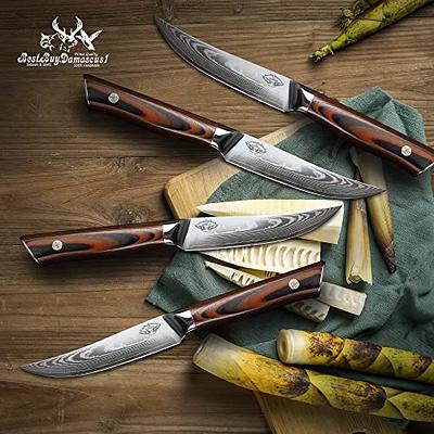 Steak Knives Set - 5 - 4 Pcs Steak Knifs - Damascus Steel - Japanese  AUS-10 Super Steel - Gifts Boxed - Premium Quality Red G10 Knives Handel Steak  Knife Set - Yahoo Shopping