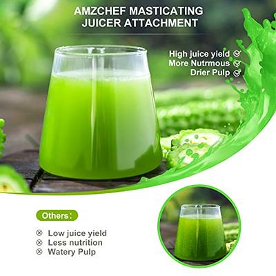 Masticating Juicer Attachment for KitchenAid All Models Stand  Mixers,AMZCHEF Masticating Juicer, Slow Juicer Attachment for All  KitchenAid Mixers