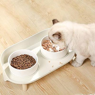 for Cat Food Bowls Elevated for Cat Bowls for Food and Water with Base Stand  Kit