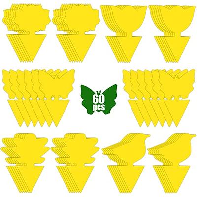 Trappify Sticky Gnat Traps for House Indoor - Yellow Fruit Fly Traps for  Indoors/Outdoor Plant - Insect Catcher White Flies, Mosquitos, Fungus Gnat