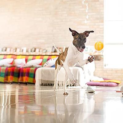 Smart Interactive Dog Toys Ball with Remote Control LED Lights