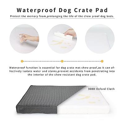 Chew-Proof Beds for Dogs  Chew Resistant Beds for Dogs