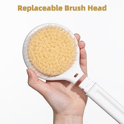 Long Handle Back Scrubber For Shower Cleaning Back Scrubber, 1Pc Fashion  Double-Sided Long Handle Pp Body Cleaning Tool