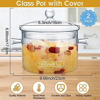 glass pot Glass Pot with Lid and Handle Stovetop Cooking