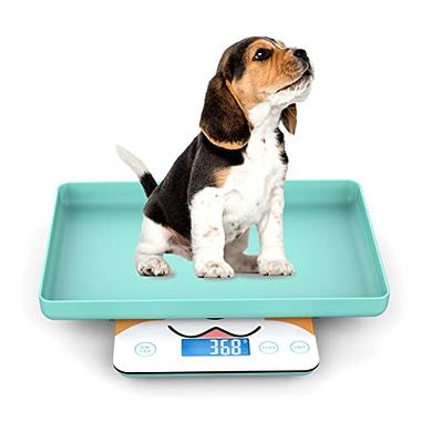 Pet Scale for Newborn Puppy and Kitten, Pet Scale with Detachable Tray for  Dog Whelping Nursing, Weigh Pets Baby in Grams, 33lbs (±1 Gram) (Blue) -  Yahoo Shopping