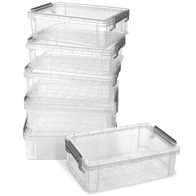 Extra Large Clear Food Saver, Plastic Storage Container and Box