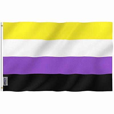 Anley 3x5 Feet Progress Pride Flag - Rainbow Transgender Lesbian LGBT Flag  Polyester