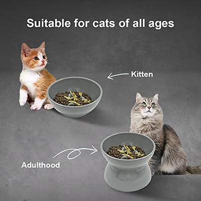 Wellbro Cat Bowls, Elevated Cat Bowl, Raised Ceramic Cat Dish with Metal  Stand, Pet Water or Food Feeding Station for Indoor Cats, Kitten, Puppies  and Small Dogs, Dishwasher Safe Raised Cat Bowl