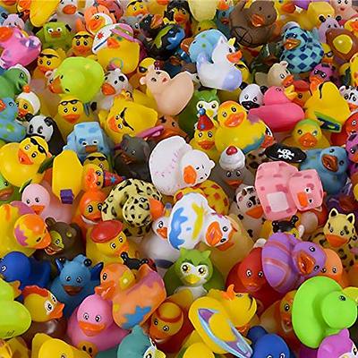 Assorted Rubber Ducks Toy Duckies for Kids and Toddlers, Bath