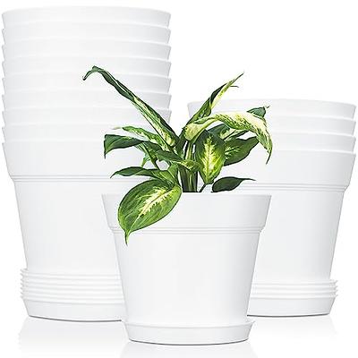 12 Inch 10 Inch 9 Inch Plant Pots, Rifny Extra Large Planters for Indoor  Plants with Drainage Holes and Tray, Set of 3 Flower Pots Modern Decorative
