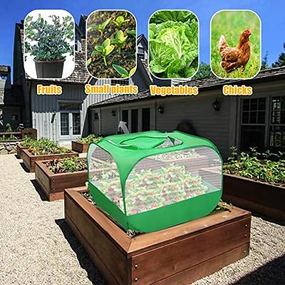 Mesh Plant Cover for Pests, Outdoor Garden Protection Cover Mesh Net from  Animals, Bird and Pest Protection Guard for Fruit, Vegetables, Flowers and