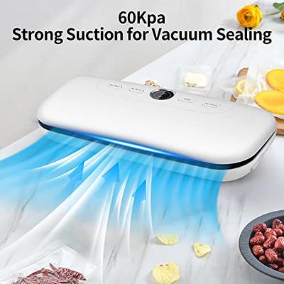 BOEASTER Dry/Moist Vacuum Sealer Machine, Air Vacuum Sealers for Sous Vide  and Food Storage, Air Sealer Machine with 10 Vacuum Seal Bags & 1 Air