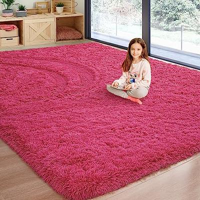 4x5 rug in room
