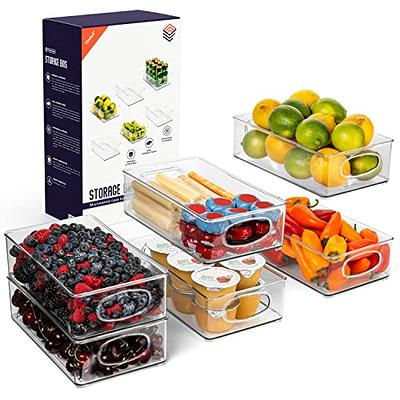 LEXI HOME Large Acrylic Food Storage Container Kitchen Organizer with  Handles 2-Pack LB5454P2 - The Home Depot