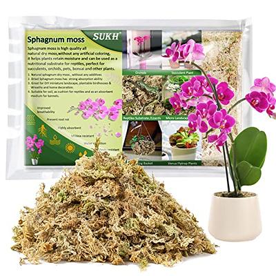  Chile Sphagnum Moss for Plants, Orchids - Orchid Potting Mix,  Natural Long Fibered Dried Peat Moss for Succulent Carnivorous Potted Plant  Reptiles Medium Sarracenia… (3OZ) : Patio, Lawn & Garden
