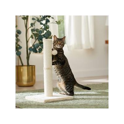 Frisco Senior and Kitten Cat Litter Box