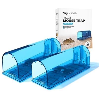 Humane Catch and Release Indoor Outdoor Mouse Traps Pack of 2 Easy Set  Durable Traps Safe for Children Pets and Humans Instantly Remove Unwanted  Vermin from Your Home 