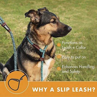 Friends Forever Extremely Durable Dog Rope Leash, Premium Quality Training Slip  Lead, Reflective, Thick Heavy Duty, Sturdy, No Pull, Comfortable For The  Strong Large Medium Small Pets 6 feet, Blue - Yahoo Shopping