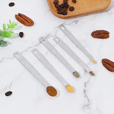 5PCS Mini Stainless Steel Measuring Spoon Set Tad Dash Pinch Smidgen Drop