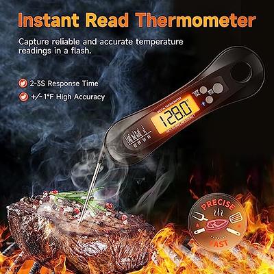 BBQ Dragon: Instant-Read Meat Thermometer