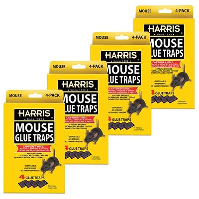 TOMCAT Press 'N Set Mouse Trap, Plastic, Spring-Loaded Mouse Killer with  Grab-Tab Pest Repellant Trap (2-Pack) 0360710PM - The Home Depot